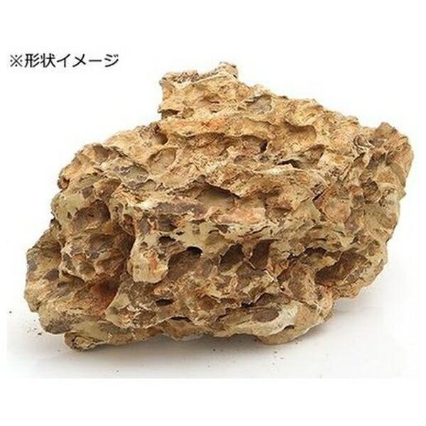 ●商品の納期表示について[ 在庫品 ] 表記 ： 当店在庫品[ 取寄せ ] 表記 ： メーカー在庫有時の発送目安となります。賞味期限：-