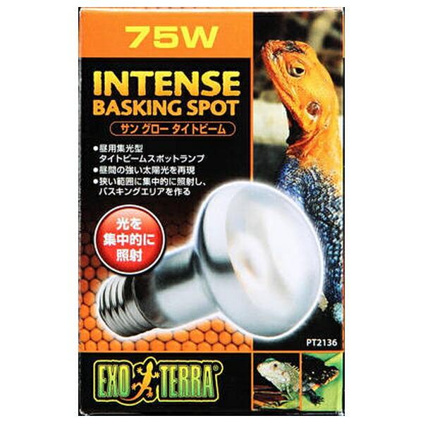 ●商品の納期表示について[ 在庫品 ] 表記 ： 当店在庫品[ 取寄せ ] 表記 ： メーカー在庫有時の発送目安となります。賞味期限：-