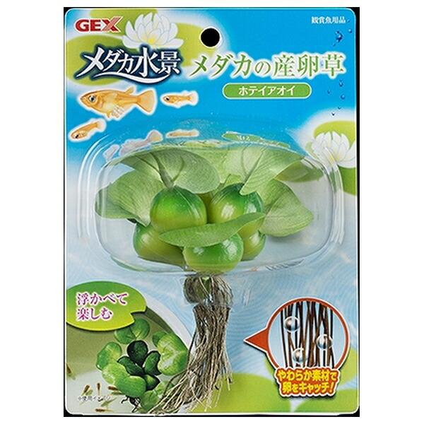 ●商品の納期表示について[ 在庫品 ] 表記 ： 当店在庫品[ 取寄せ ] 表記 ： メーカー在庫有時の発送目安となります。賞味期限：-