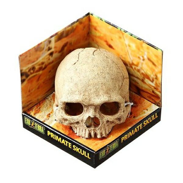 ●商品の納期表示について[ 在庫品 ] 表記 ： 当店在庫品[ 取寄せ ] 表記 ： メーカー在庫有時の発送目安となります。賞味期限：-