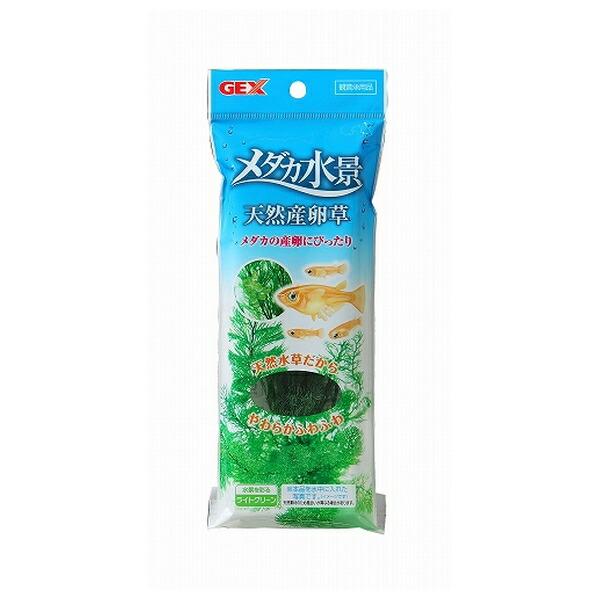 ●商品の納期表示について[ 在庫品 ] 表記 ： 当店在庫品[ 取寄せ ] 表記 ： メーカー在庫有時の発送目安となります。賞味期限：-