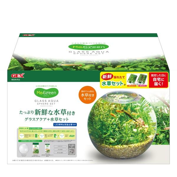 ◇ジェックス MeGreen 新鮮な水草付き グラスアクアスフィアセット
