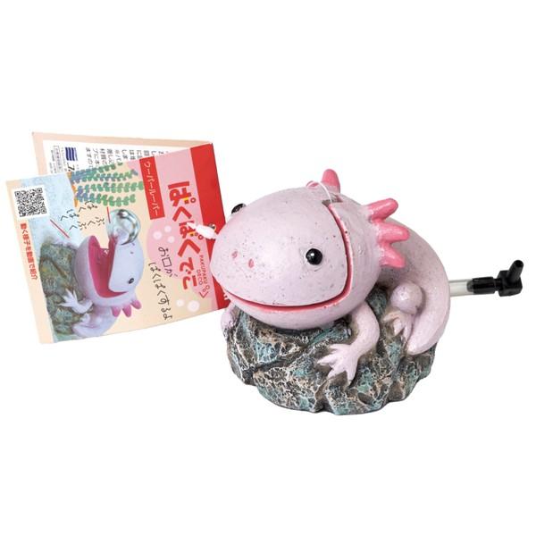 ●商品の納期表示について[ 在庫品 ] 表記 ： 当店在庫品[ 取寄せ ] 表記 ： メーカー在庫有時の発送目安となります。賞味期限：-