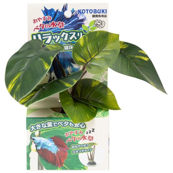 ●商品の納期表示について[ 在庫品 ] 表記 ： 当店在庫品[ 取寄せ ] 表記 ： メーカー在庫有時の発送目安となります。賞味期限：-