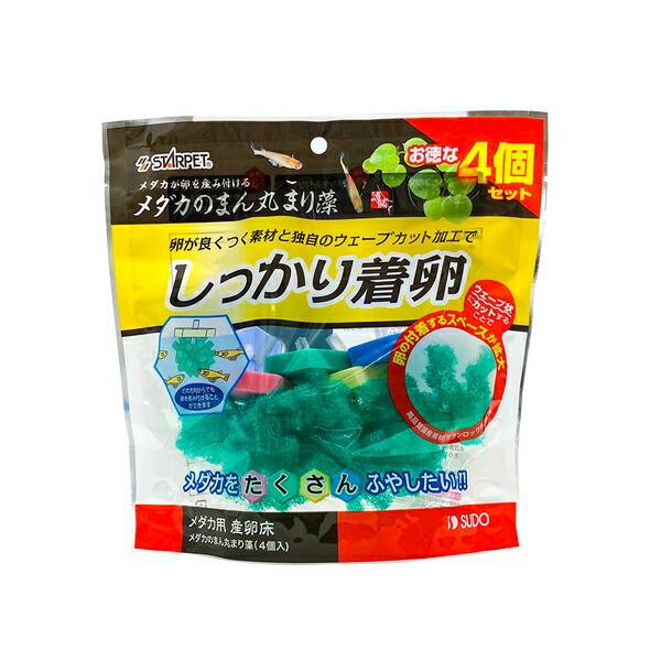 ●商品の納期表示について[ 在庫品 ] 表記 ： 当店在庫品[ 取寄せ ] 表記 ： メーカー在庫有時の発送目安となります。賞味期限：-