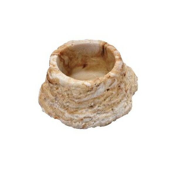 ●商品の納期表示について[ 在庫品 ] 表記 ： 当店在庫品[ 取寄せ ] 表記 ： メーカー在庫有時の発送目安となります。賞味期限：-