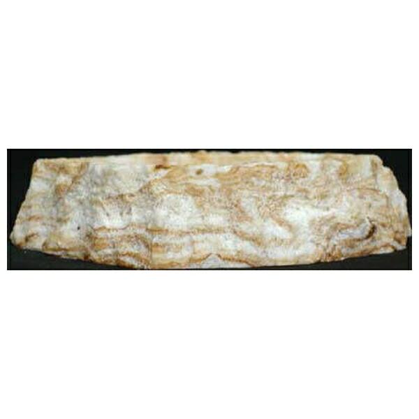 ●商品の納期表示について[ 在庫品 ] 表記 ： 当店在庫品[ 取寄せ ] 表記 ： メーカー在庫有時の発送目安となります。賞味期限：-