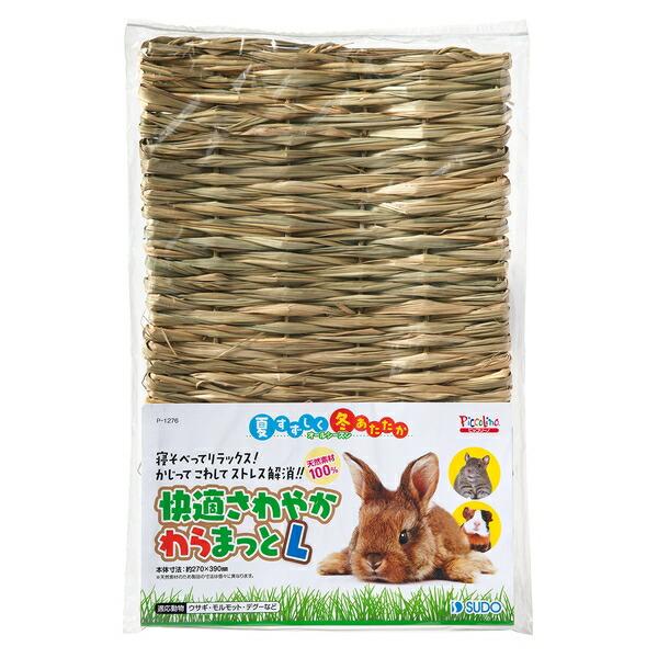 ●商品の納期表示について[ 在庫品 ] 表記 ： 当店在庫品[ 取寄せ ] 表記 ： メーカー在庫有時の発送目安となります。賞味期限：-