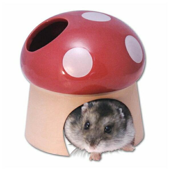 ●商品の納期表示について[ 在庫品 ] 表記 ： 当店在庫品[ 取寄せ ] 表記 ： メーカー在庫有時の発送目安となります。賞味期限：-