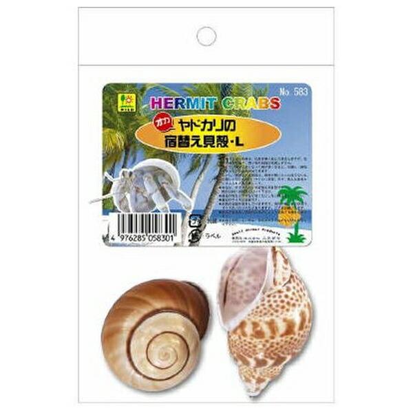 ●商品の納期表示について[ 在庫品 ] 表記 ： 当店在庫品[ 取寄せ ] 表記 ： メーカー在庫有時の発送目安となります。賞味期限：-