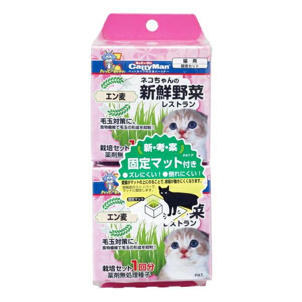 ◇ドギーマンハヤシ ネコちゃんの新鮮野菜レストラン2P