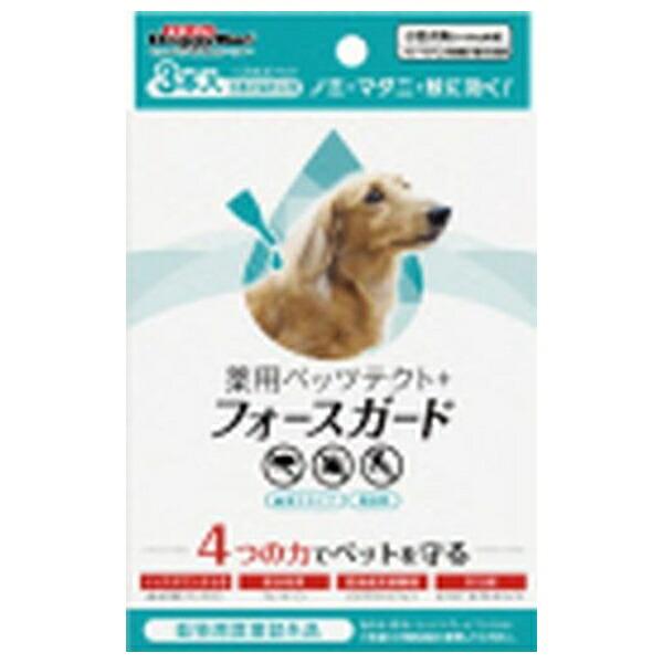●商品の納期表示について[ 在庫品 ] 表記 ： 当店在庫品[ 取寄せ ] 表記 ： メーカー在庫有時の発送目安となります。賞味期限：-
