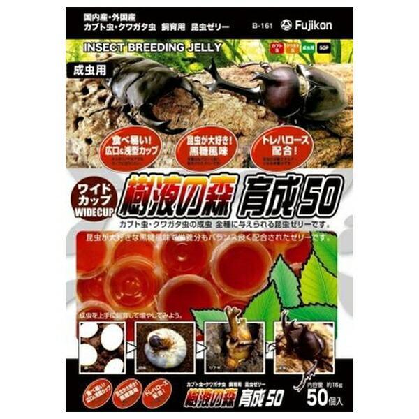 ●商品の納期表示について[ 在庫品 ] 表記 ： 当店在庫品[ 取寄せ ] 表記 ： メーカー在庫有時の発送目安となります。賞味期限：20281130