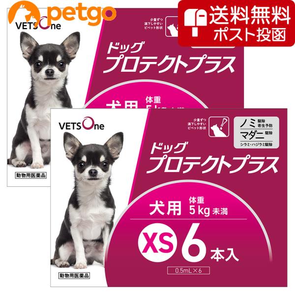 【2箱セット】ベッツワン ドッグプロテクトプラス 犬用 XS 5kg未満 6本 (動物用医薬品)
