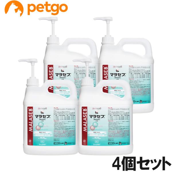petgo-2nd_2026042003074