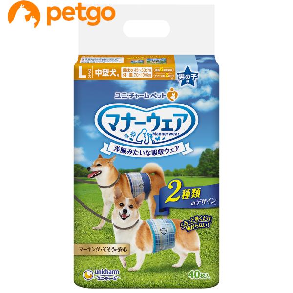 }i[EFA j̎qp L ^p `FbN 40