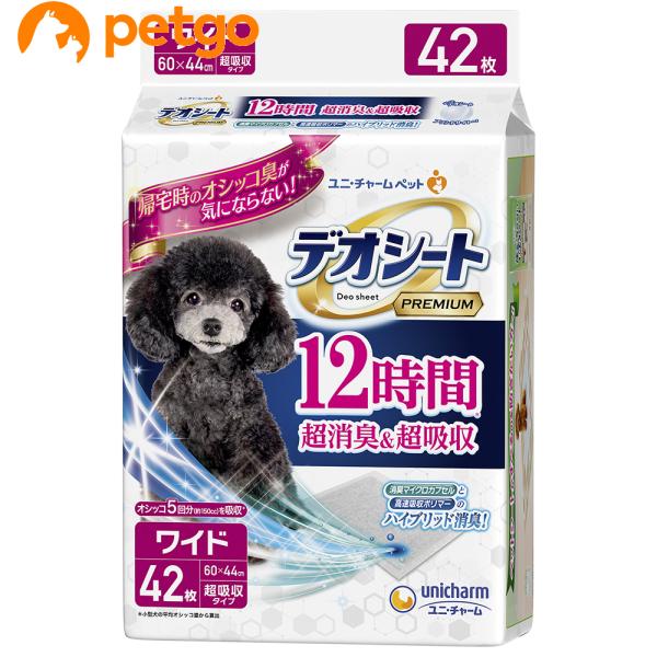 fIV[gv~A 12ԒLz Ch 42