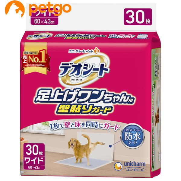 fIV[g グp Ǔ\K[h Ch 30