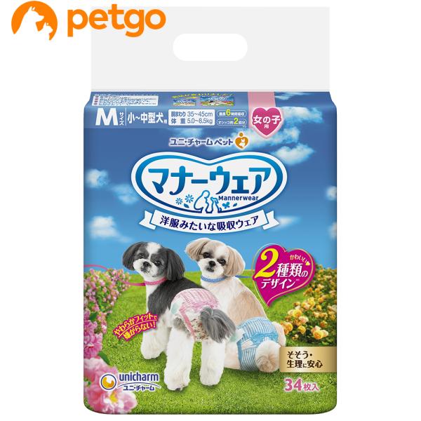 }i[EFA ̎qp M `^p 34