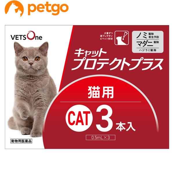 【5%OFFクーポン】ベッツワン キャットプロテクトプラス 猫用 3本 (動物用医薬品)