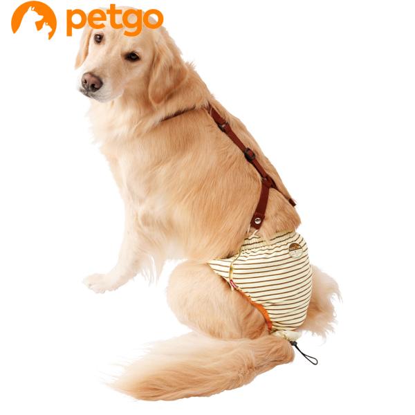 yeBI zuttone(Ƃ) Vp ނpc 3L