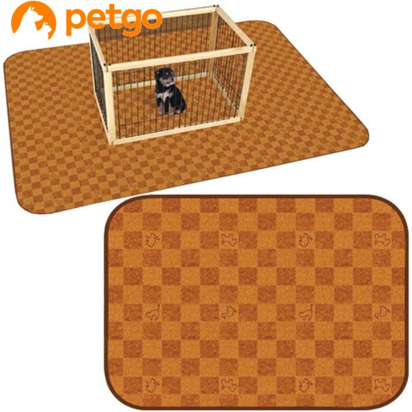 aOrA hLh}bgINSF-01T CguE 65X90cm