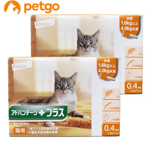 【2箱セット】アドバンテージプラス 猫用 0.4mL 1.6〜4kg 3ピペット（動物用医薬品）