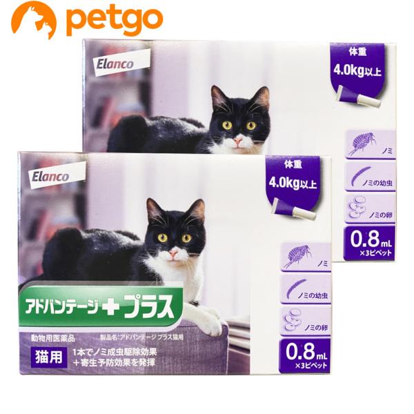 【2箱セット】アドバンテージプラス 猫用 0.8mL 4kg以上 3ピペット（動物用医薬品）