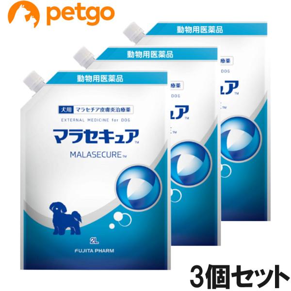 petgo-3rd_2026042003623