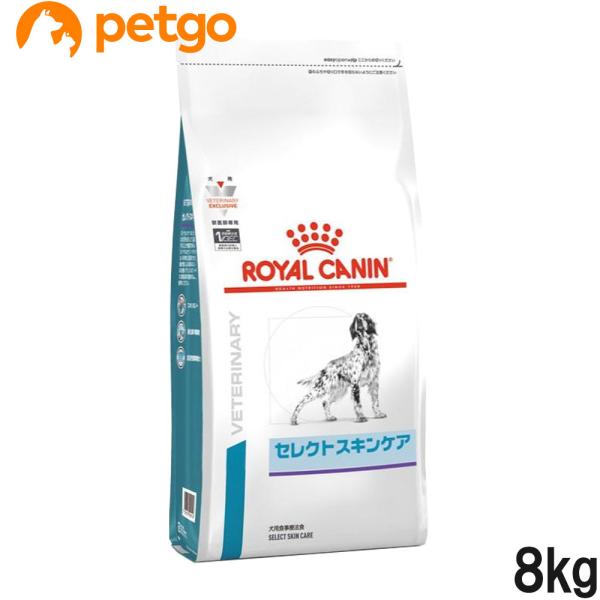 petgo-3rd_3182550929509