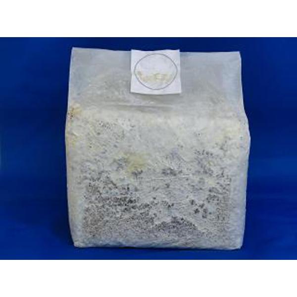 [Release date: March 18, 2021]■菌糸ブロック内容量は、容量で約3.6lですが、重量は内容物によりおよそ2.1〜2.6kgと変動しますのでご理解ください。(ブナオガ粉が多いほど軽くなります)水分は53%(水分計に...