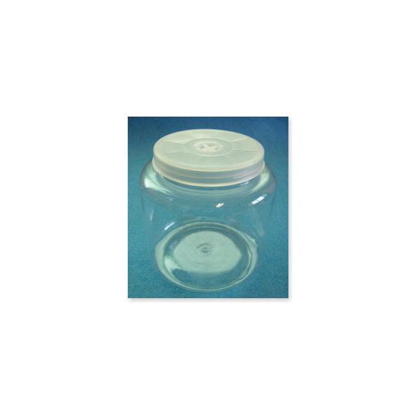 [Release date: March 22, 2021]大型種の仕上げに