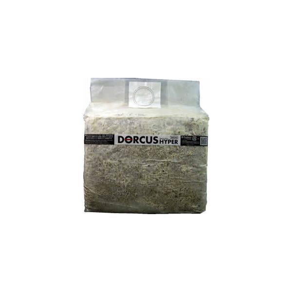 [Release date: March 29, 2021]好評につき発送にお時間を頂く場合がございます。ご了承ください。クヌギメインのオリジナル培地に特殊・高栄養添加物を配合し、オオヒラ菌茸を培養。国産オオクワ・ヒラタ系外産クルビデンス・...