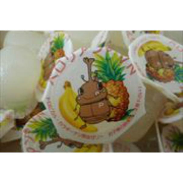 [Release date: March 30, 2021]ペロリアン昆虫ゼリーは砂糖キビ（ショ糖）を多く使用していますのでミネラルたっぷり、とても食いの良い昆虫ゼリーです。着色料無添加ですべての材料は人が食べても安全なものです。原産国：ベ...