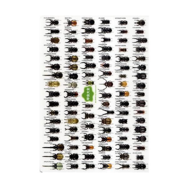 [Release date: November 7, 2020]森の甲虫（こうちゅう）100種を網羅。裏面にはそれぞれの甲虫の説明文が入っています