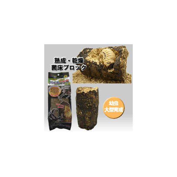 [Release date: November 6, 2020]幼虫の育成に効果的な茸菌床を熟成・乾燥し、くち木化させた高栄養エサ木です。成虫の足場やのぼり木など幅広く利用できます。