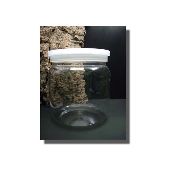 [Release date: November 6, 2020]好評につき発送にお時間を頂く場合がございます。ご了承ください。　PET樹脂製で透明度が高く幼虫や蛹の状態がリアルに観察できます。雑菌・雑虫の侵入を防ぎ酸素を流通させるフィルター...