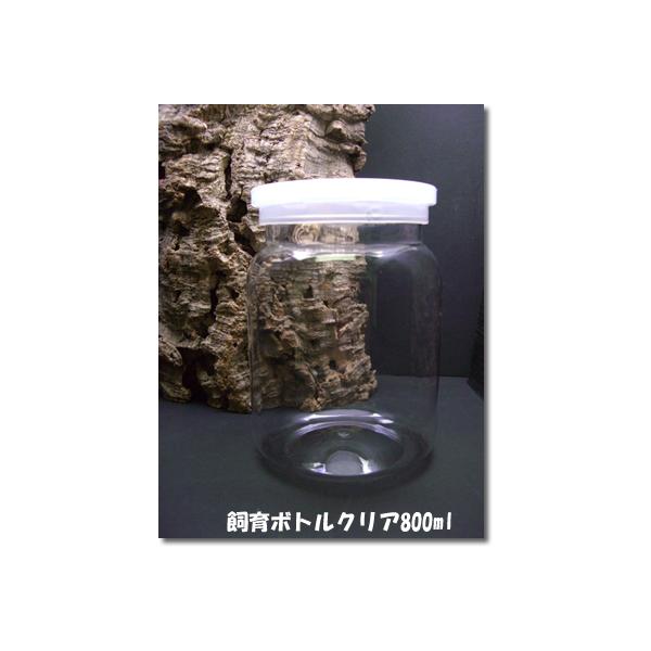 [Release date: November 6, 2020]好評につき発送にお時間を頂く場合がございます。ご了承ください。　PET樹脂製で透明度が高く幼虫や蛹の状態がリアルに観察できます。雑菌・雑虫の侵入を防ぎ酸素を流通させるフィルター...