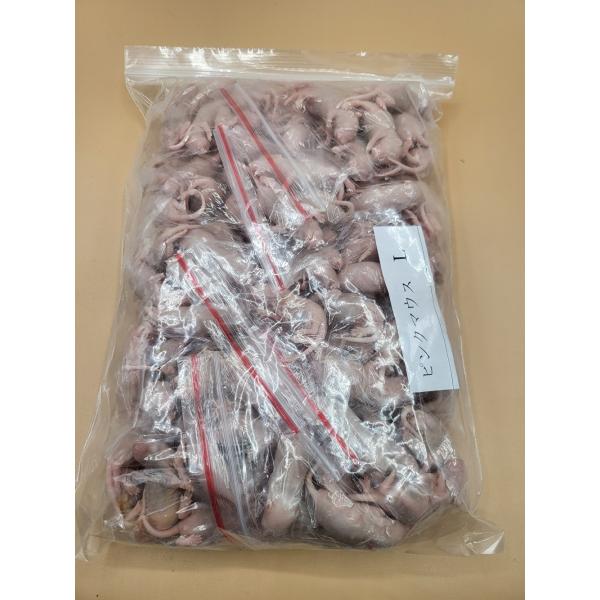 [Release date: March 30, 2022]衛生管理を徹底した飼育室にて、栄養豊富な人工飼料で育った高栄養価のマウスです。＜与える生体＞・猛禽類（フクロウ、ワシ、タカなど）・爬虫類（大型のヘビやトカゲなど）・両生類（大型のカ...