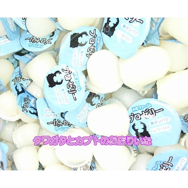 [Release date: May 19, 2019]プロブリーダーの要望に答えるべく開発された、超高タンパク純国産昆虫ゼリー。天然果汁をはじめ、各種タンパク質、必須アミノ酸、グルコース、トレハロースその他栄養成分をバランス良く配合。ペア...