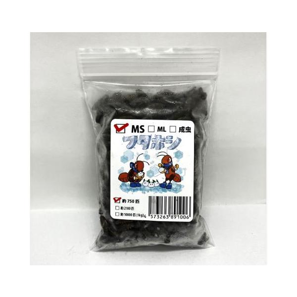 [Release date: December 25, 2022]直前まで十分に餌を食べていた各種コオロギを生きたまま冷凍し、足取り加工を行いました。