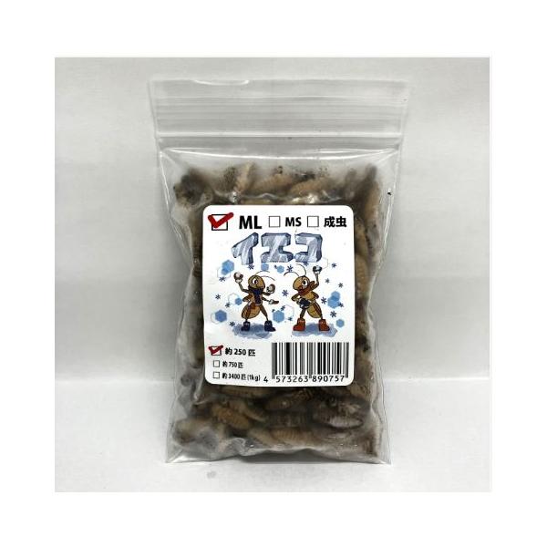 [Release date: December 25, 2022]直前まで十分に餌を食べていた各種コオロギを生きたまま冷凍し、足取り加工を行いました。