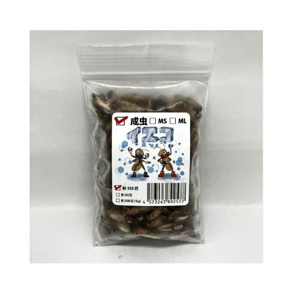 [Release date: December 25, 2022]直前まで十分に餌を食べていた各種コオロギを生きたまま冷凍し、足取り加工を行いました。