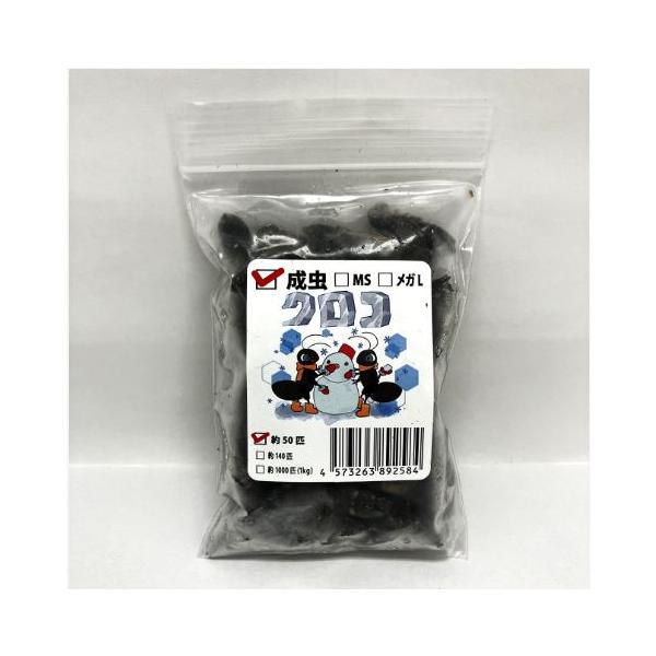 [Release date: December 25, 2022]直前まで十分に餌を食べていた各種コオロギを生きたまま冷凍し、足取り加工を行いました。