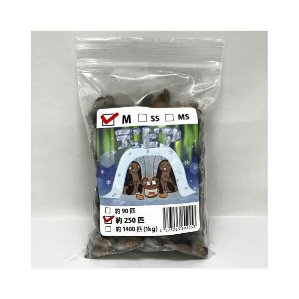 [Release date: December 25, 2022]直前まで十分に餌を食べていた各種コオロギを生きたまま冷凍し、足取り加工を行いました。