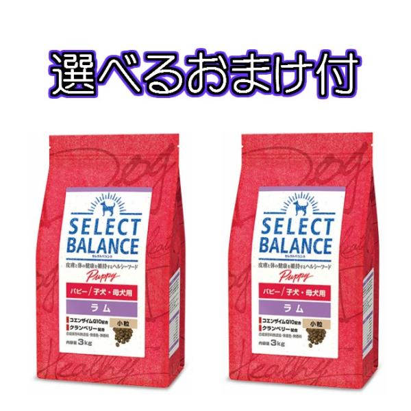 送料無料・選べるコング製品おまけ付】セレクトバランス・パピー・ラム