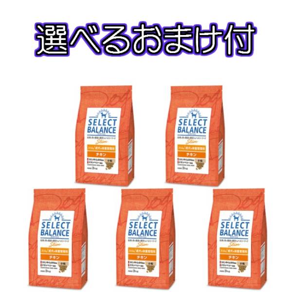 送料無料・選べるコング製品おまけ付】セレクトバランス・スリム