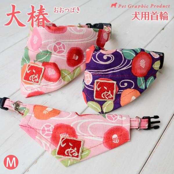   u   v ( MTCY ) Pi a a ^ ^