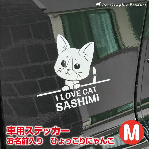 ԗp L JbeBOXebJ[  u Ђ  MTCY (14×14cm) v O  MTCY OΉ ϐ h ό