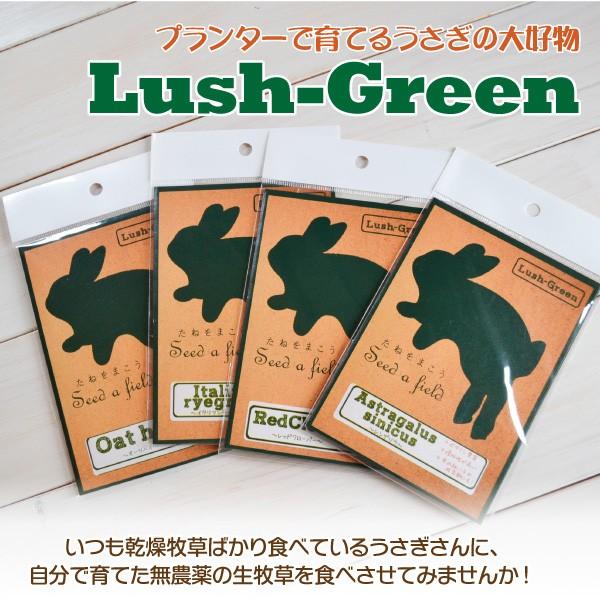 うさぎのエサ ラッシュグリーン プランターで育てるウサギの大好物 生牧草 餌 種 Lush Green Buyee Buyee Japanese Proxy Service Buy From Japan Bot Online